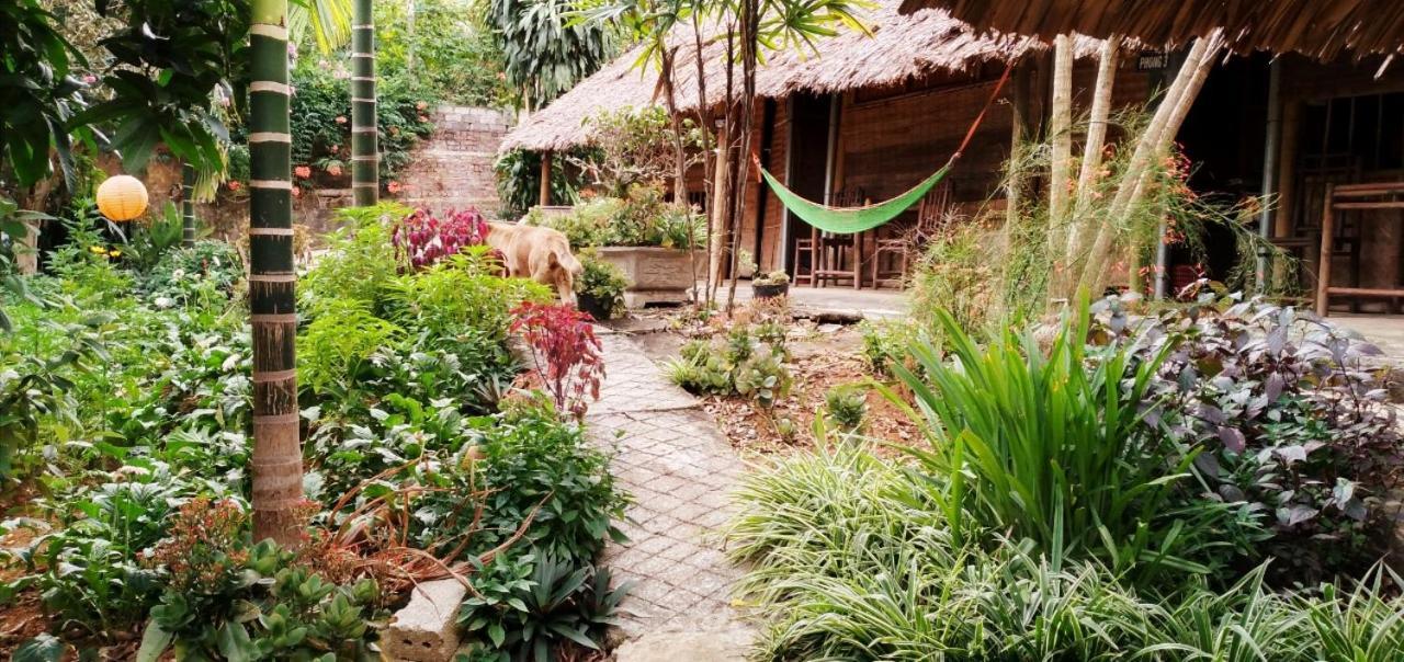 Family Homestay Ba Vì District Zewnętrze zdjęcie