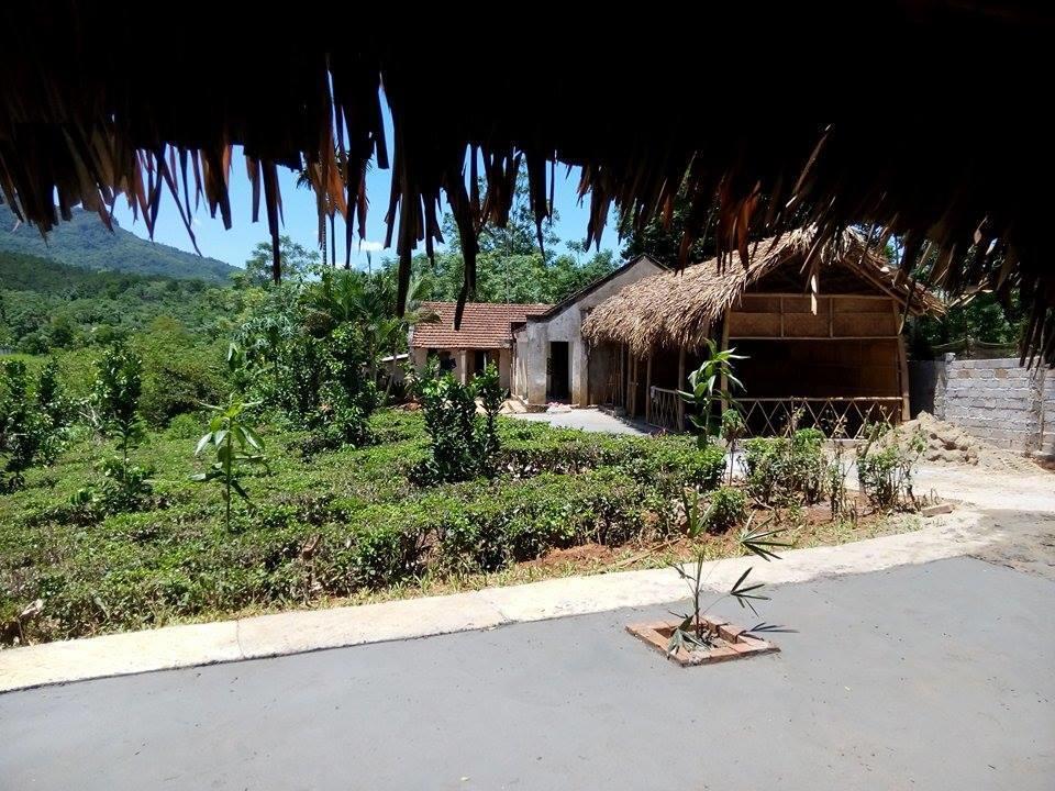 Family Homestay Ba Vì District Zewnętrze zdjęcie