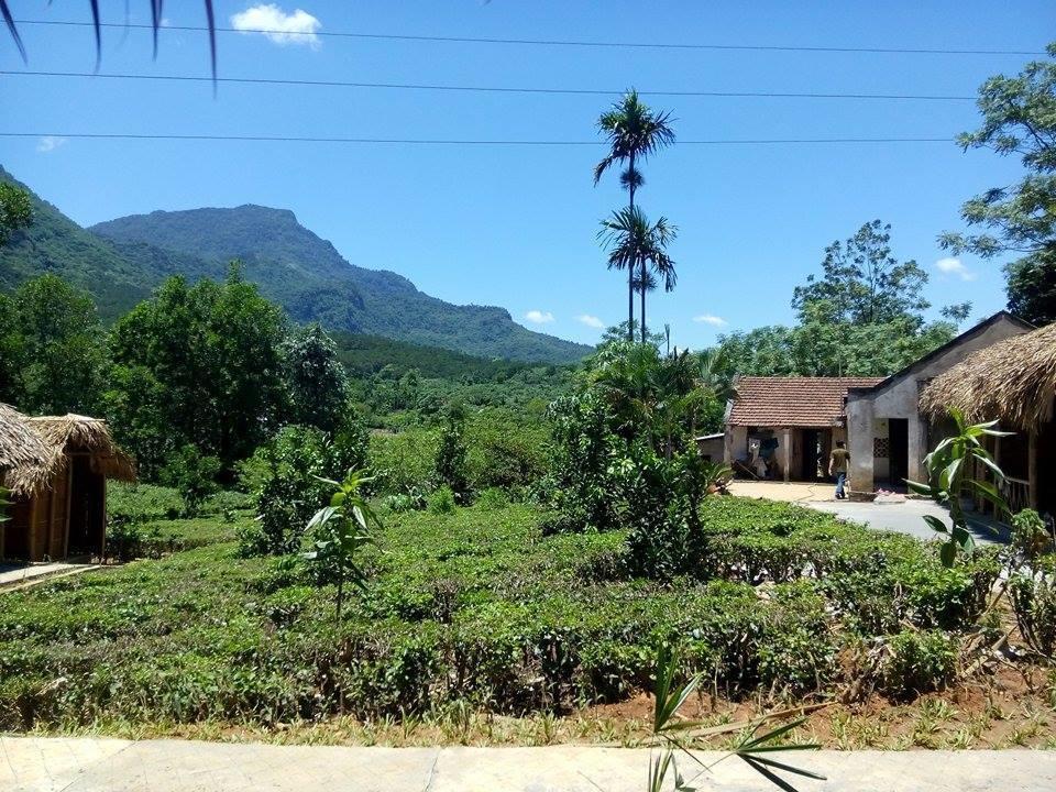 Family Homestay Ba Vì District Zewnętrze zdjęcie
