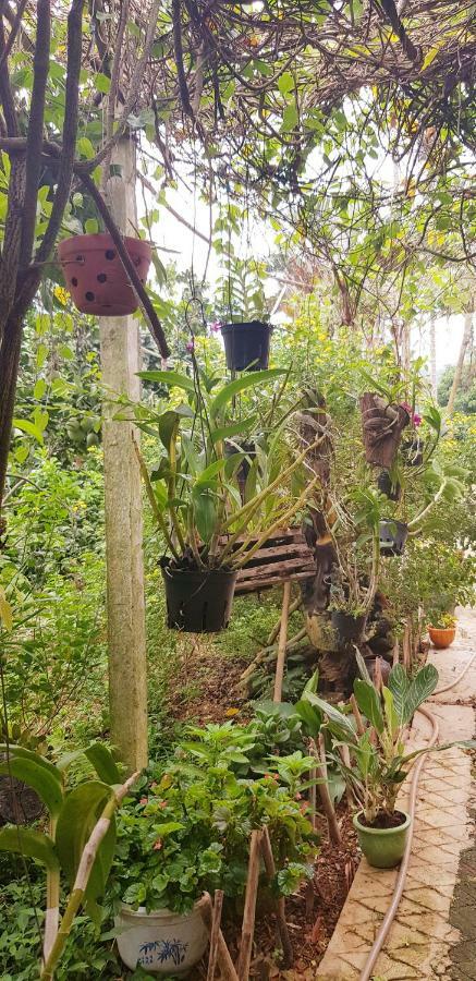 Family Homestay Ba Vì District Zewnętrze zdjęcie