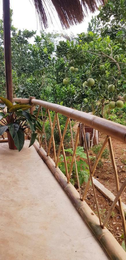 Family Homestay Ba Vì District Zewnętrze zdjęcie