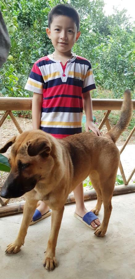 Family Homestay Ba Vì District Zewnętrze zdjęcie