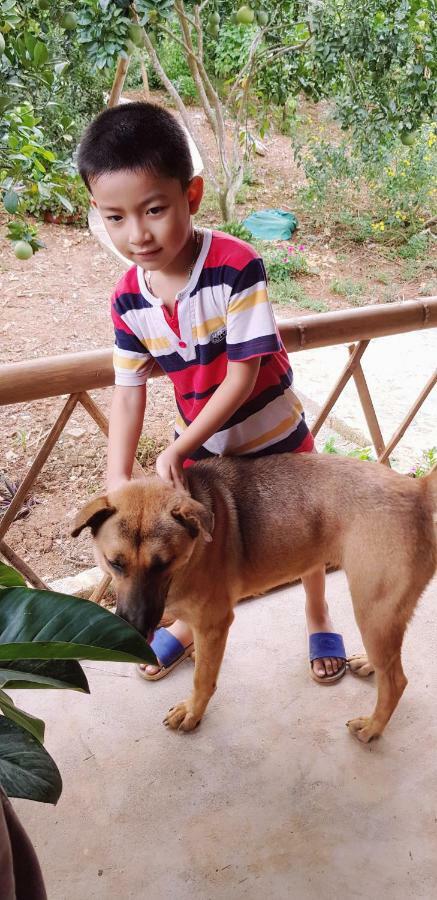 Family Homestay Ba Vì District Zewnętrze zdjęcie